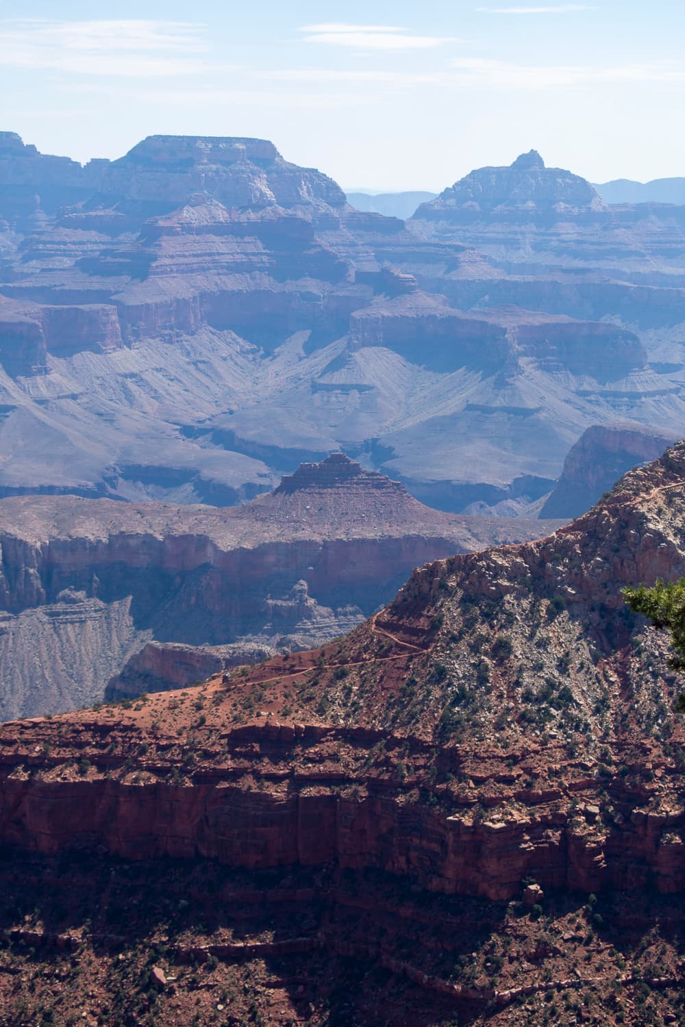A view of the Grand Canyon